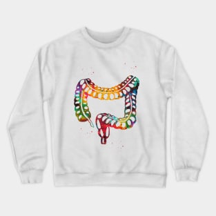 Lower gastrointestinal tract Crewneck Sweatshirt